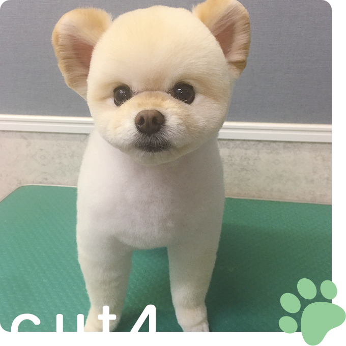 カットイメージ