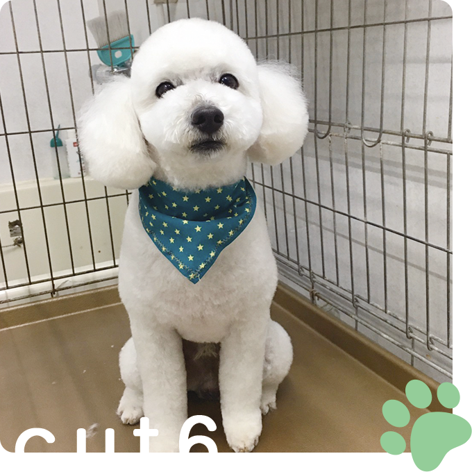 カットイメージ